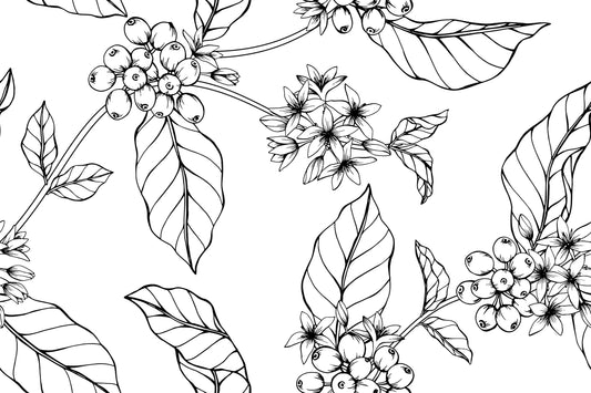 124 species of coffea
