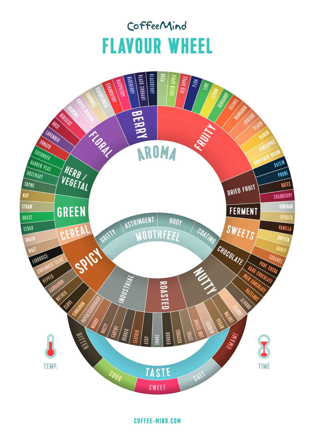 Coffee taster flavor wheel