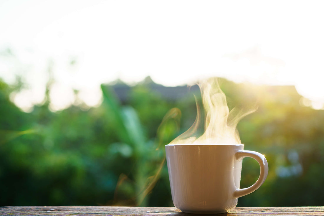 shade grown coffee
