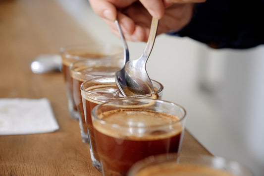 the essential guide to coffee cupping