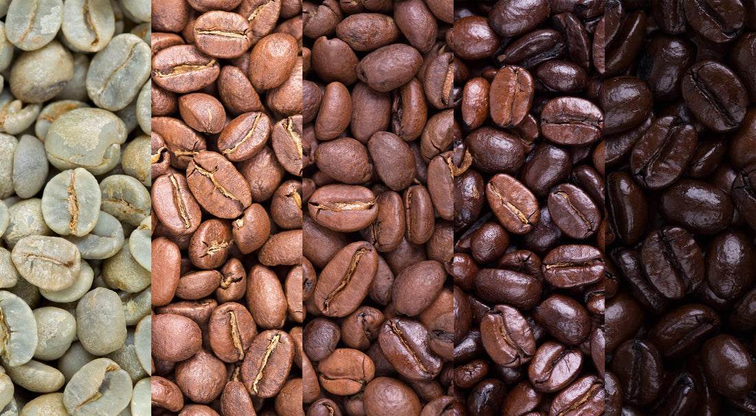 coffee roasting - the transformation of coffee