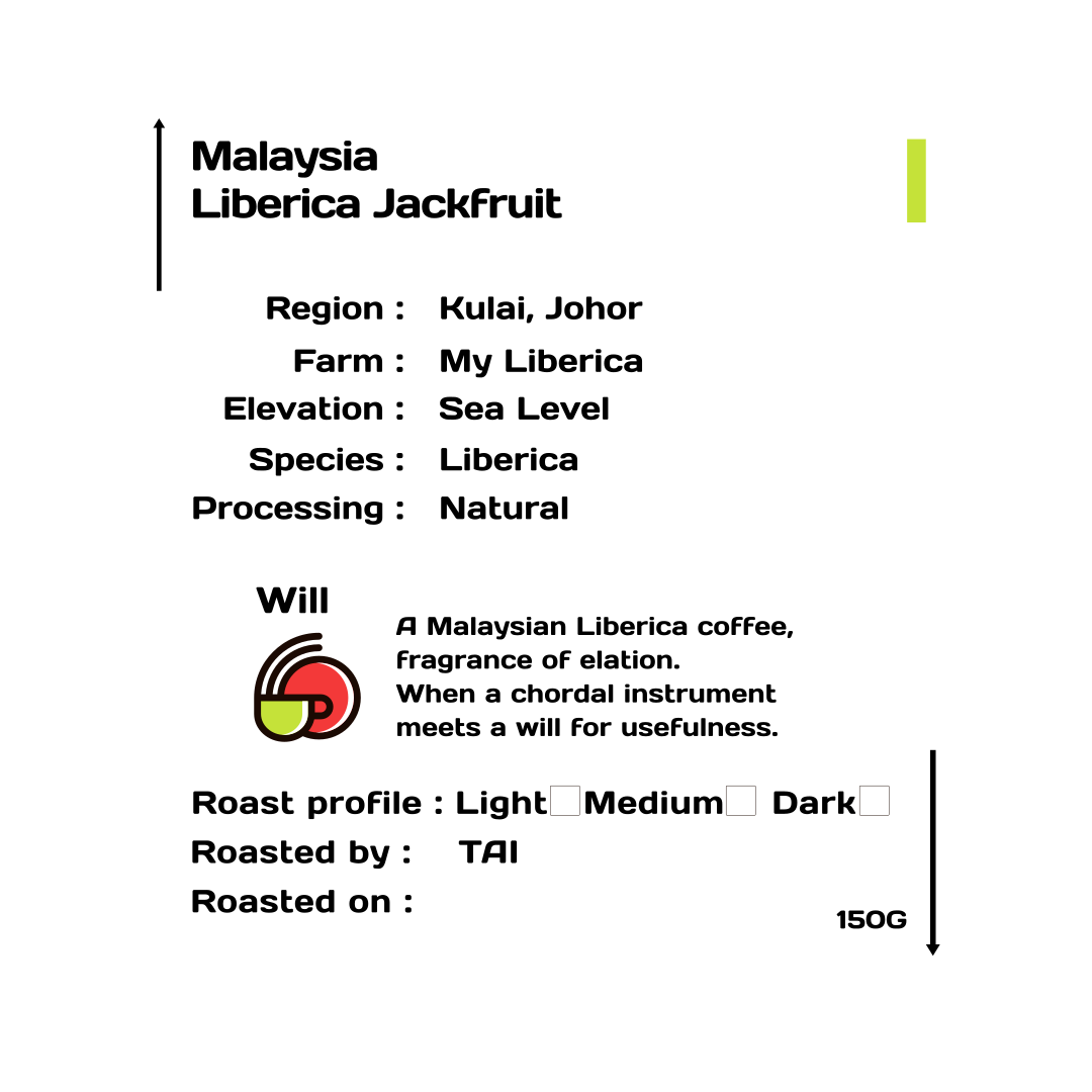 Malaysia liberica jackfruit natural processed coffee